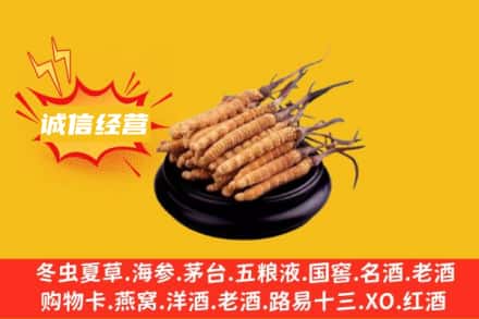 临夏东乡县回收冬虫夏草